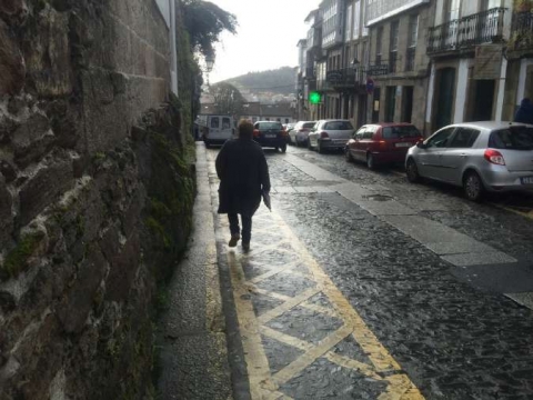 Imaxe estado Castrón Douro